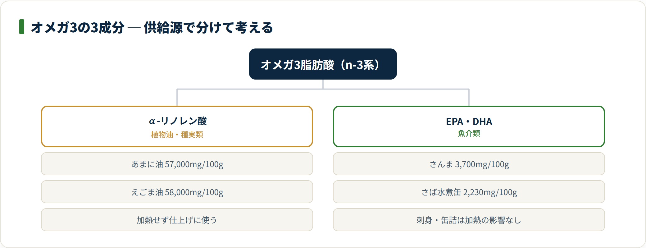 図:オメガ3は植物油のALAと魚のEPA・DHAに分かれ、置き換えではなく併用で考える