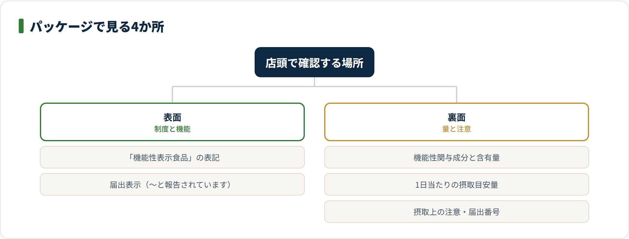 図:表面で「制度と何が報告されているか」、裏面で「量と注意」を確認する