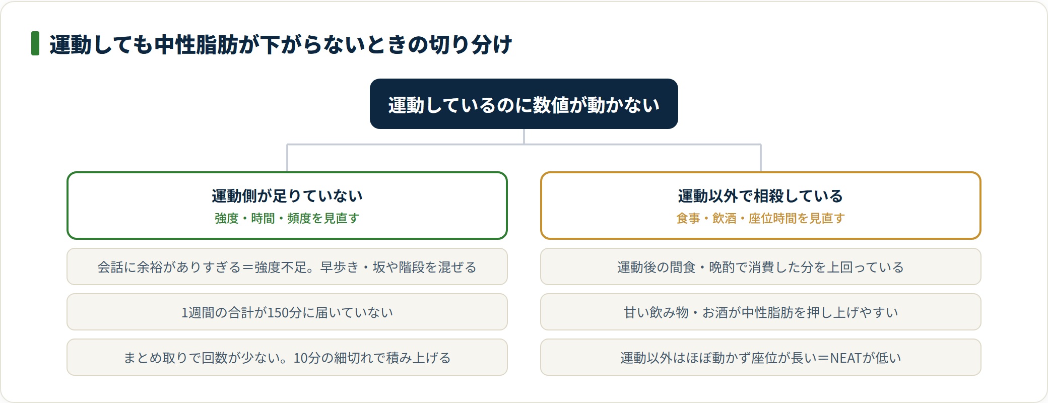 運動しても中性脂肪が下がらない原因を、運動側の不足と運動以外での相殺の2系統に切り分けた図。