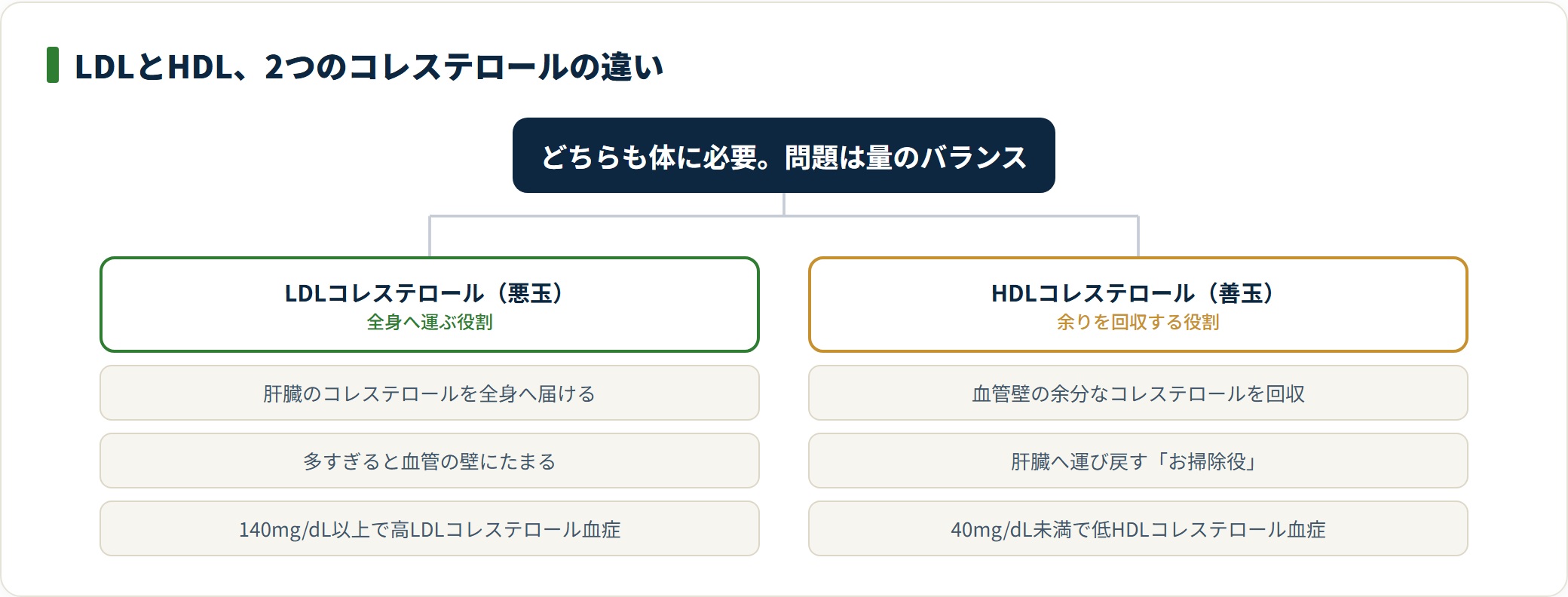 LDLは全身へ運ぶ役割で高すぎが問題、HDLは余りを回収する役割で低すぎが問題になる
