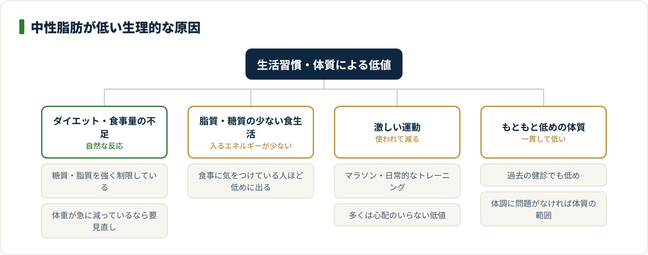 中性脂肪が低い原因の多くはダイエットや低脂質食、激しい運動、もともとの体質といった生理的なもの