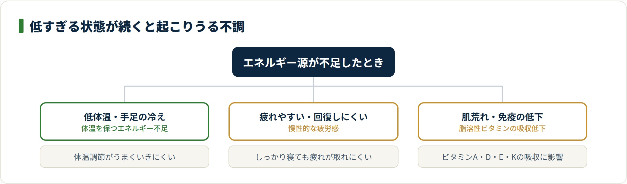 中性脂肪が低すぎると低体温や疲れやすさ、脂溶性ビタミンの吸収低下につながることがある